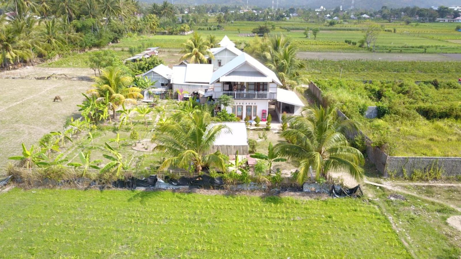 The Daun Puntik view 3