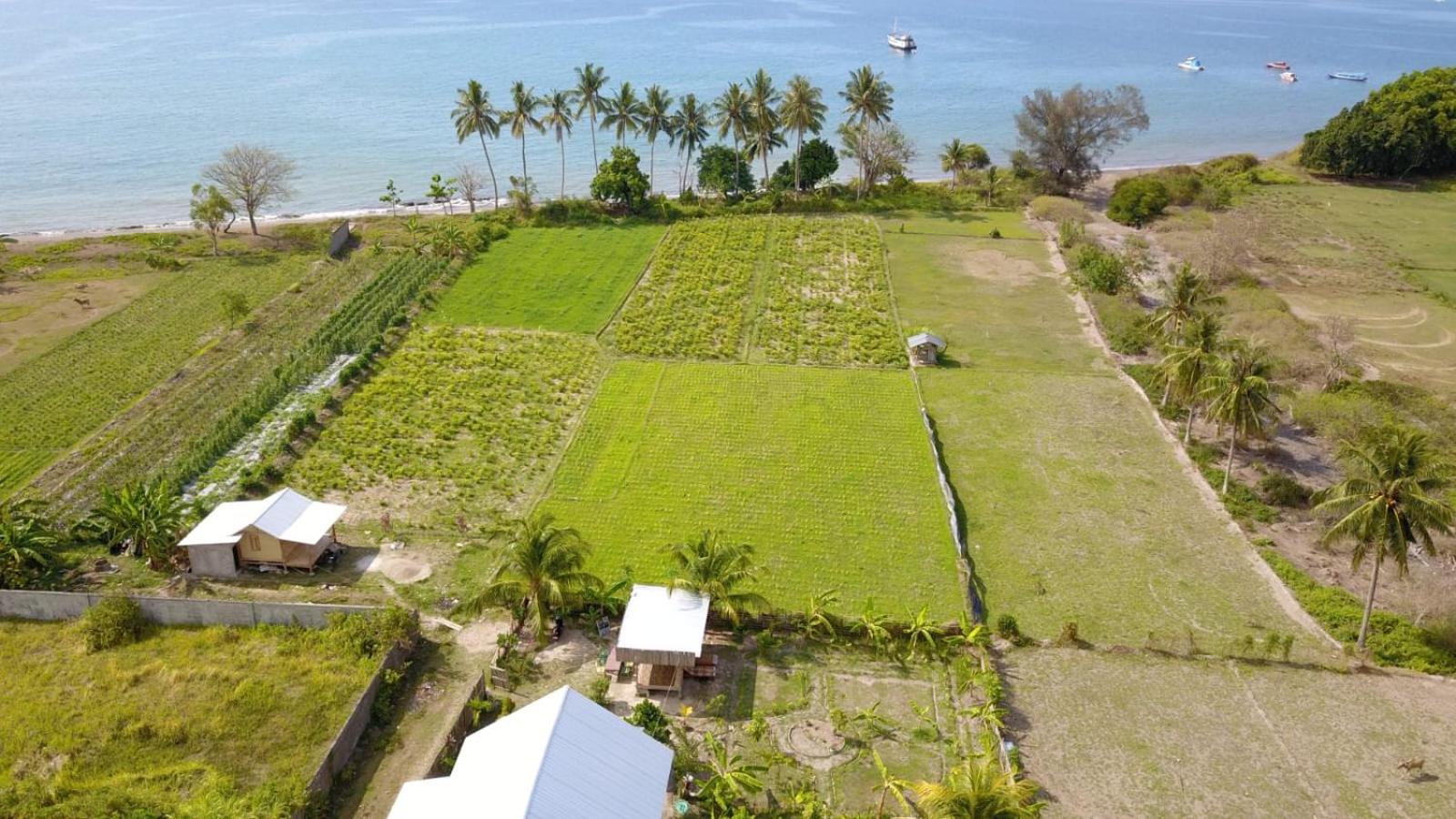 The Daun Puntik view 4