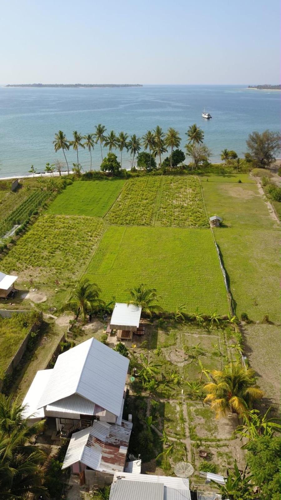 The Daun Puntik view 5