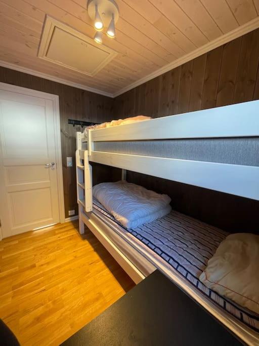 Modern cabin at Budor, close to Hamar and Løten, 1,5 hours from Oslo view 4