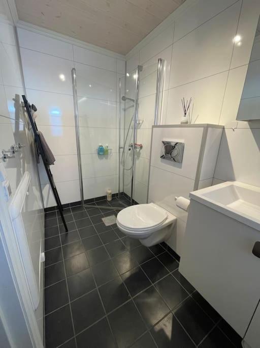 Modern cabin at Budor, close to Hamar and Løten, 1,5 hours from Oslo view 5