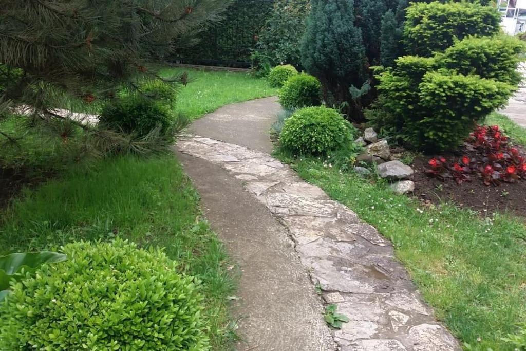Photo 16