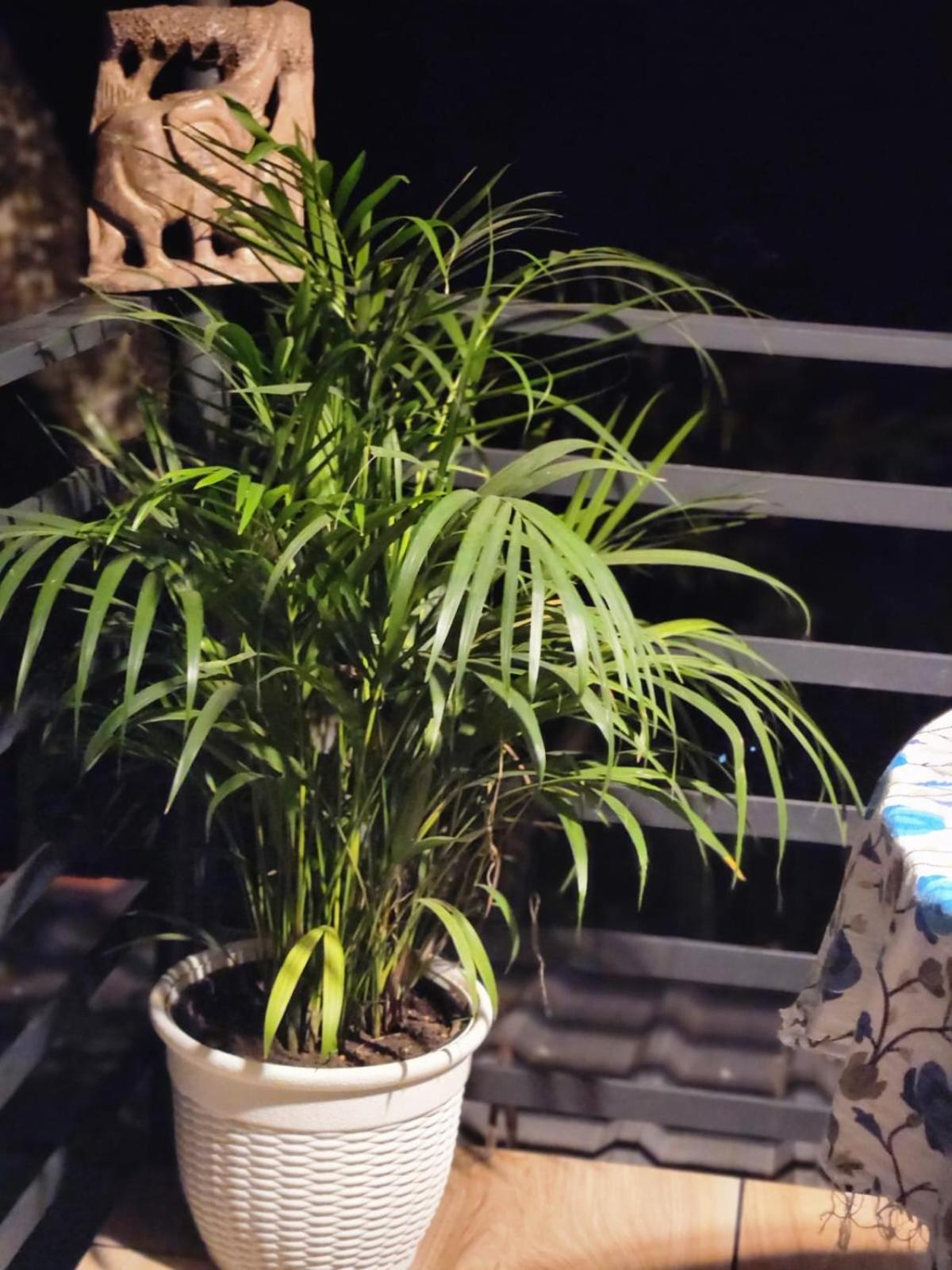 Bhuvanam homestay