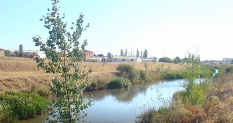 El Colibrí de Taraza