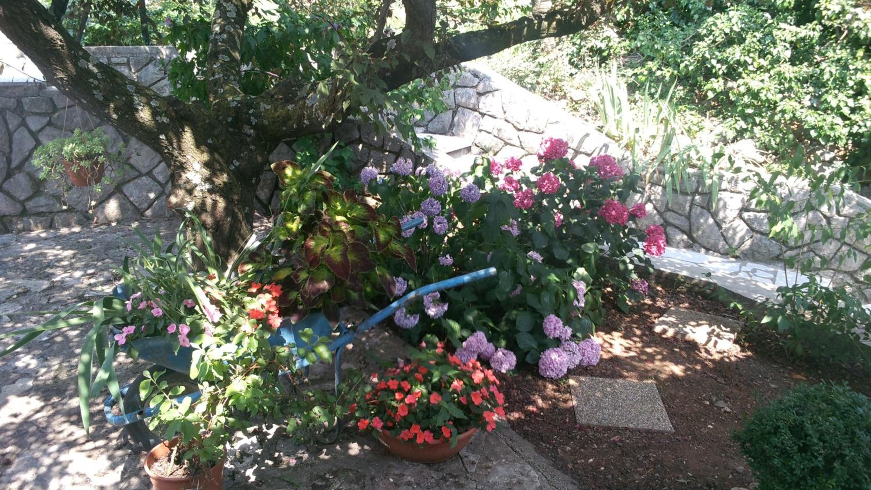 Photo 27