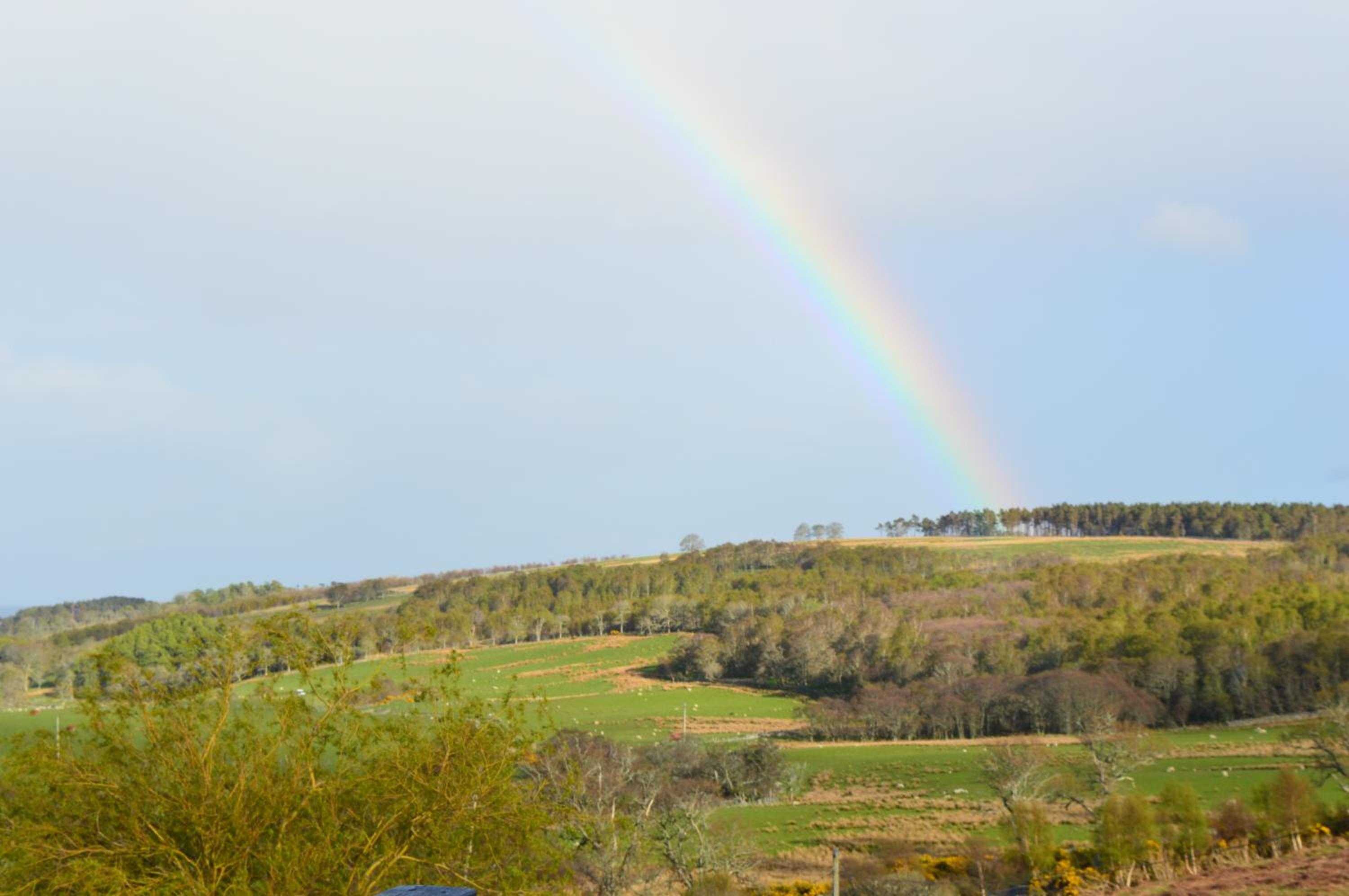 Strathview Lodge B&B