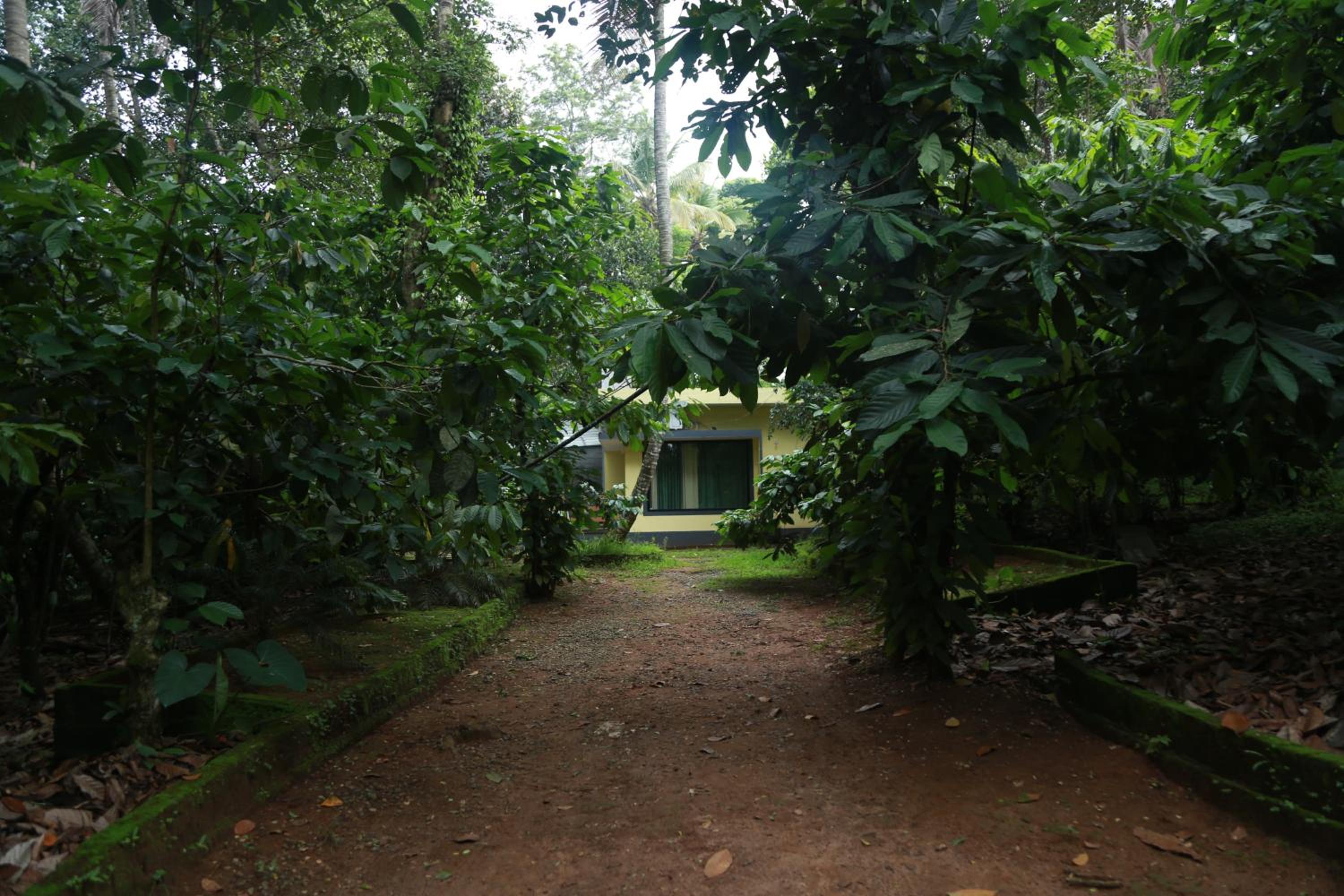 Wayanad Villas