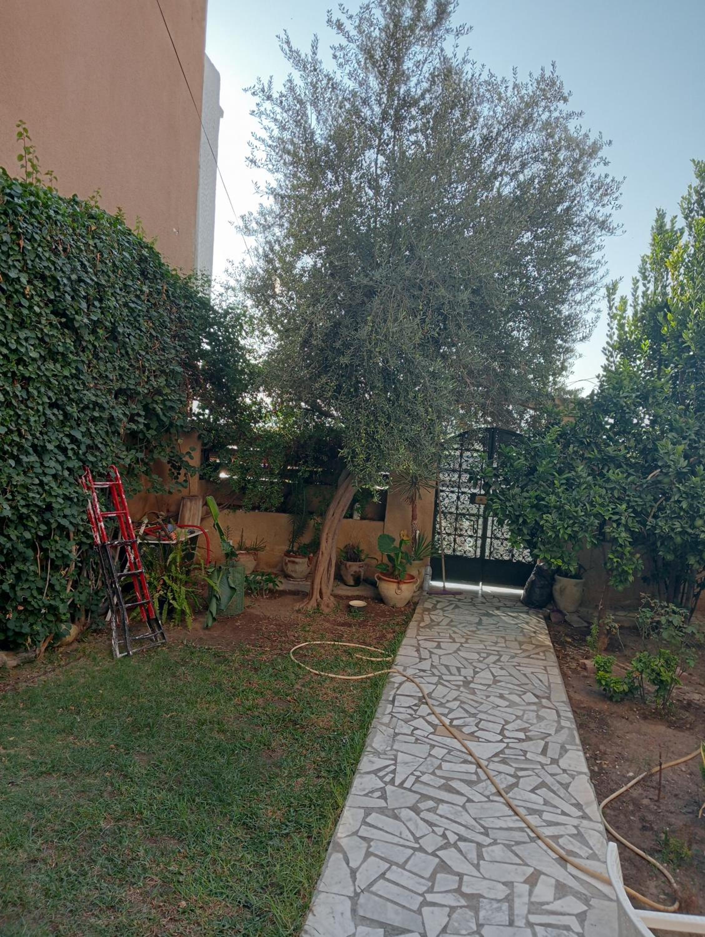 Photo 13