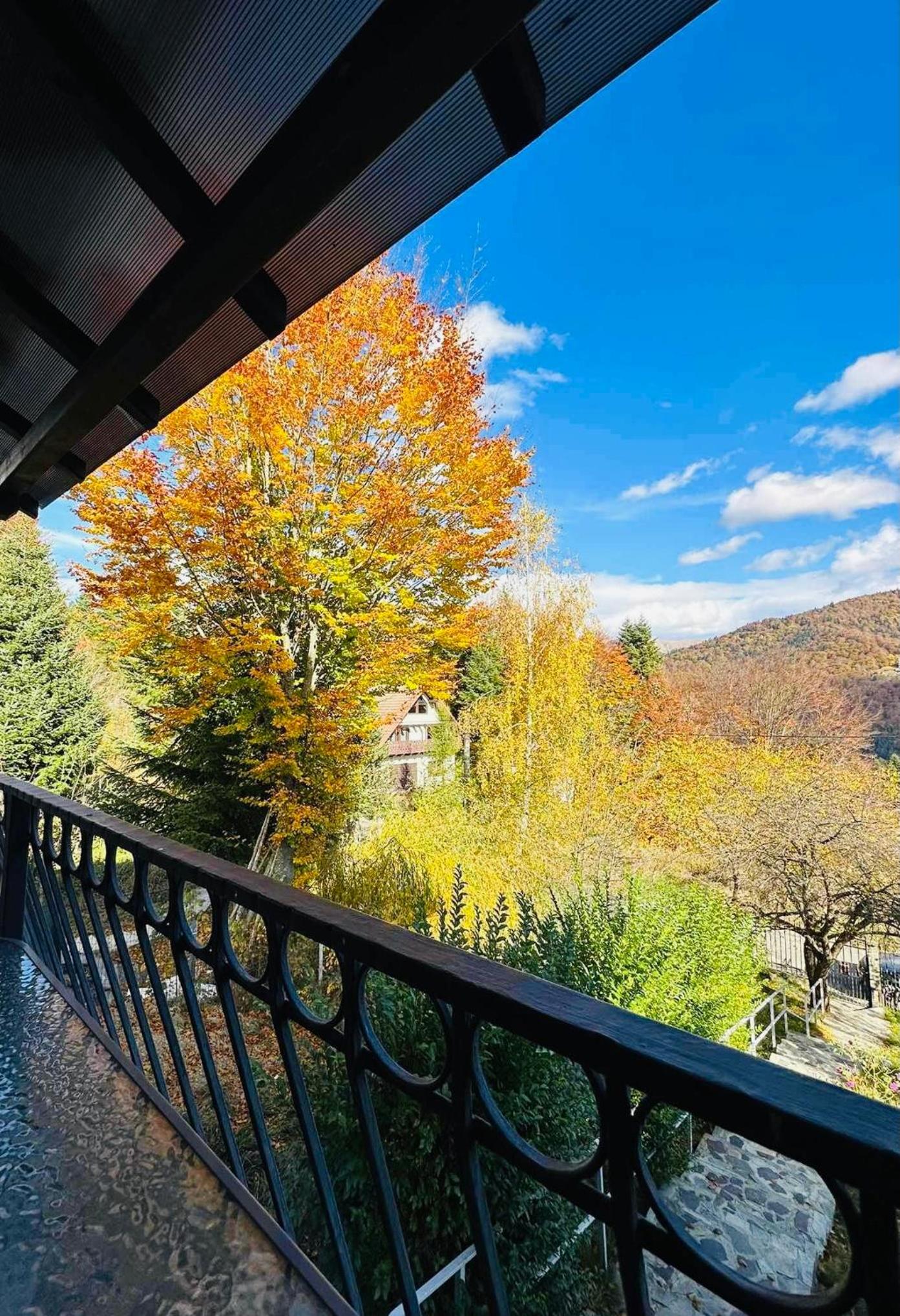 Iepurasul Sinaia