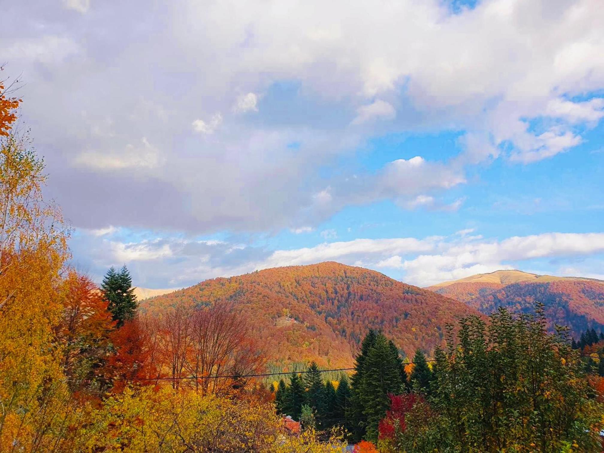 Iepurasul Sinaia