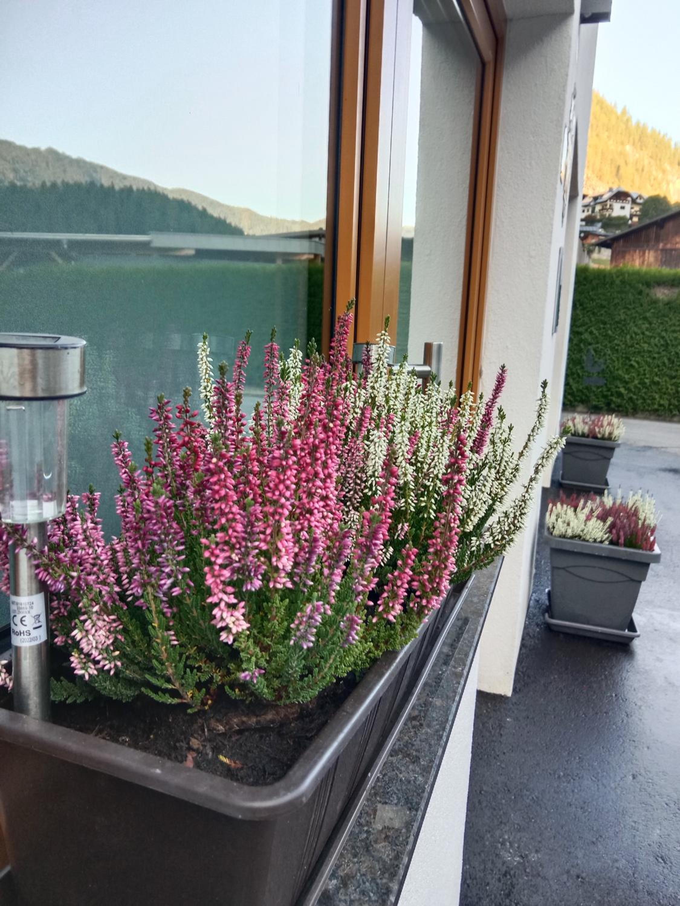 Ferienhaus Haueis