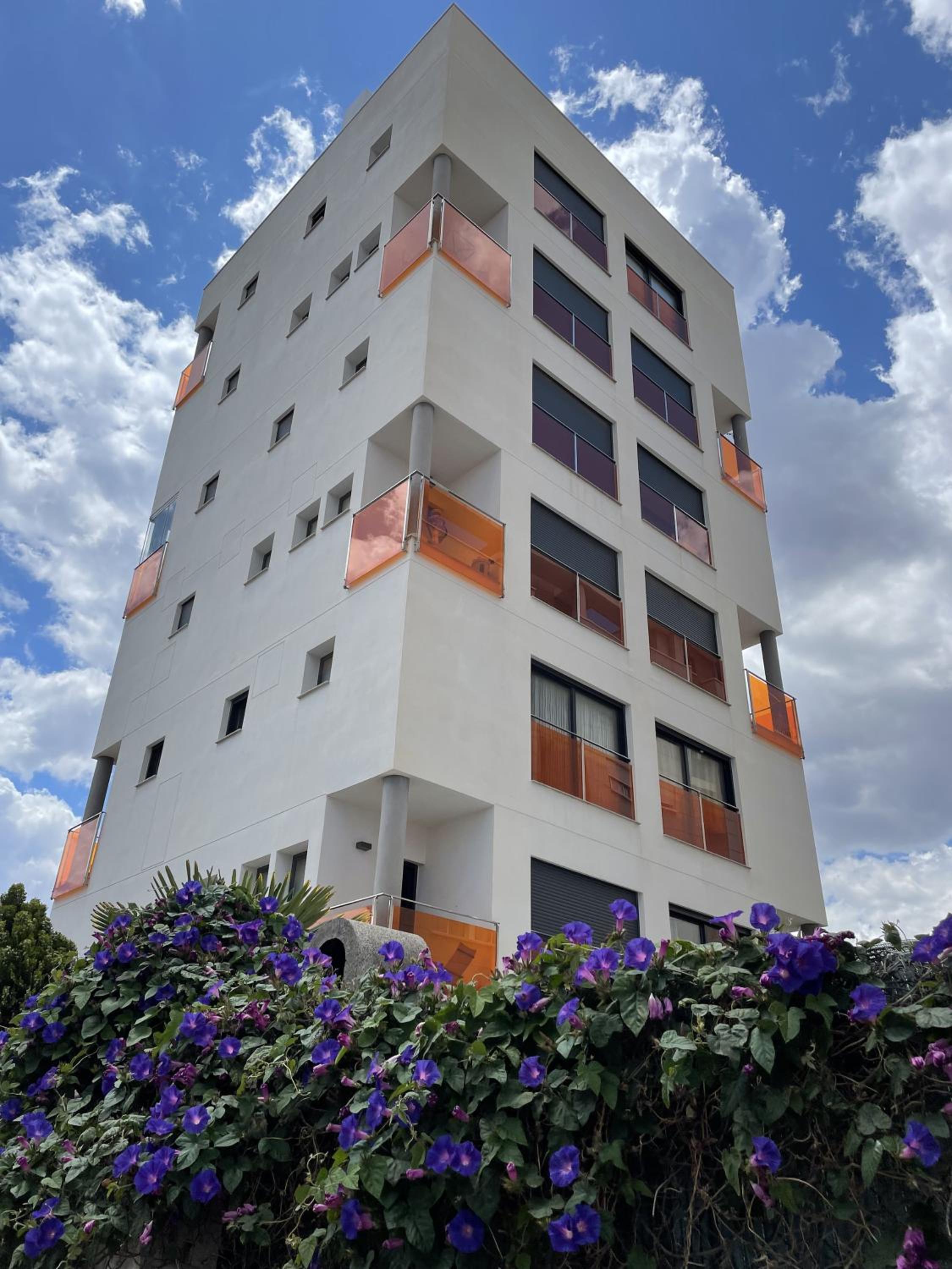 D.O.M.A. Residencial Alegria view 4