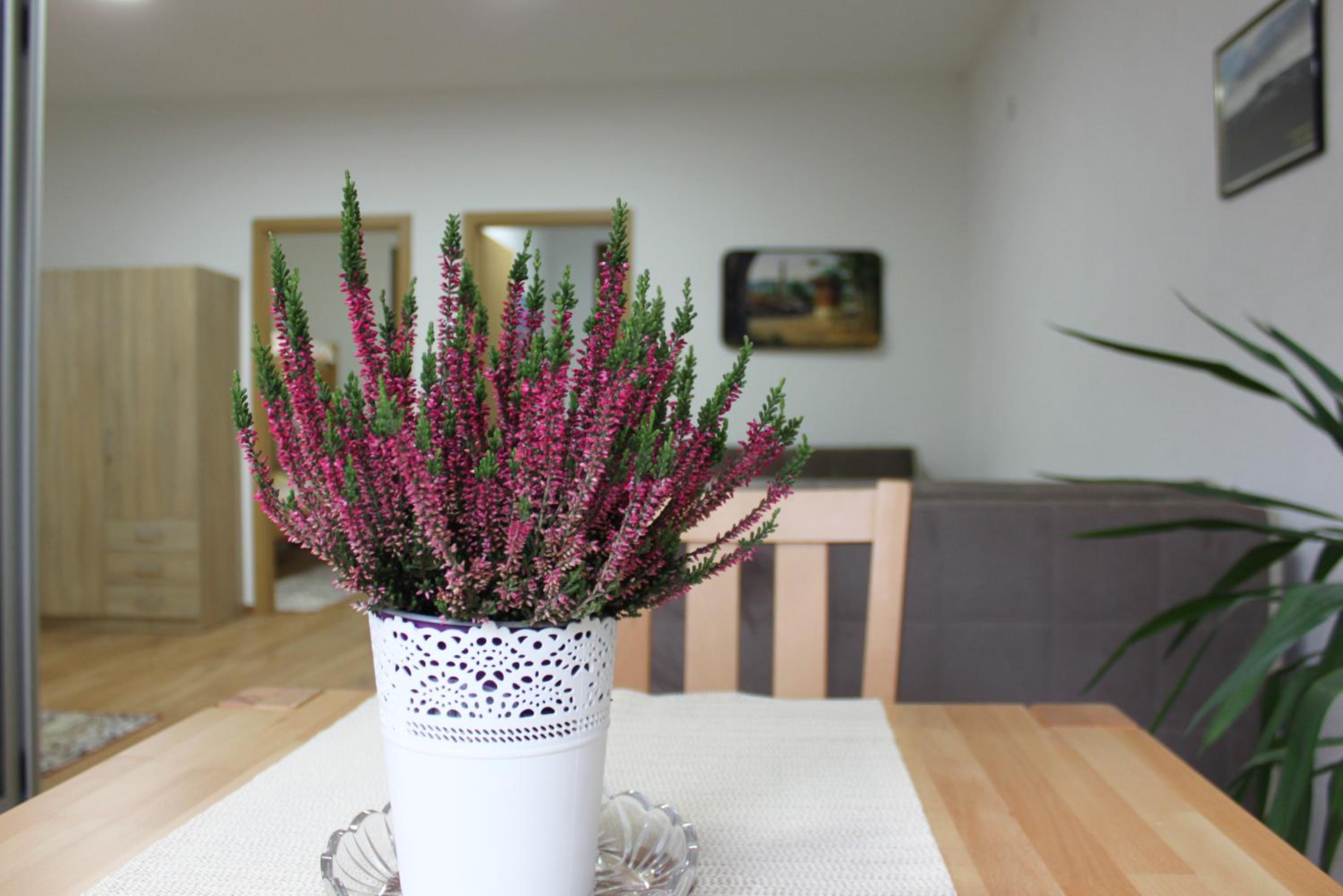 Restart Apartment