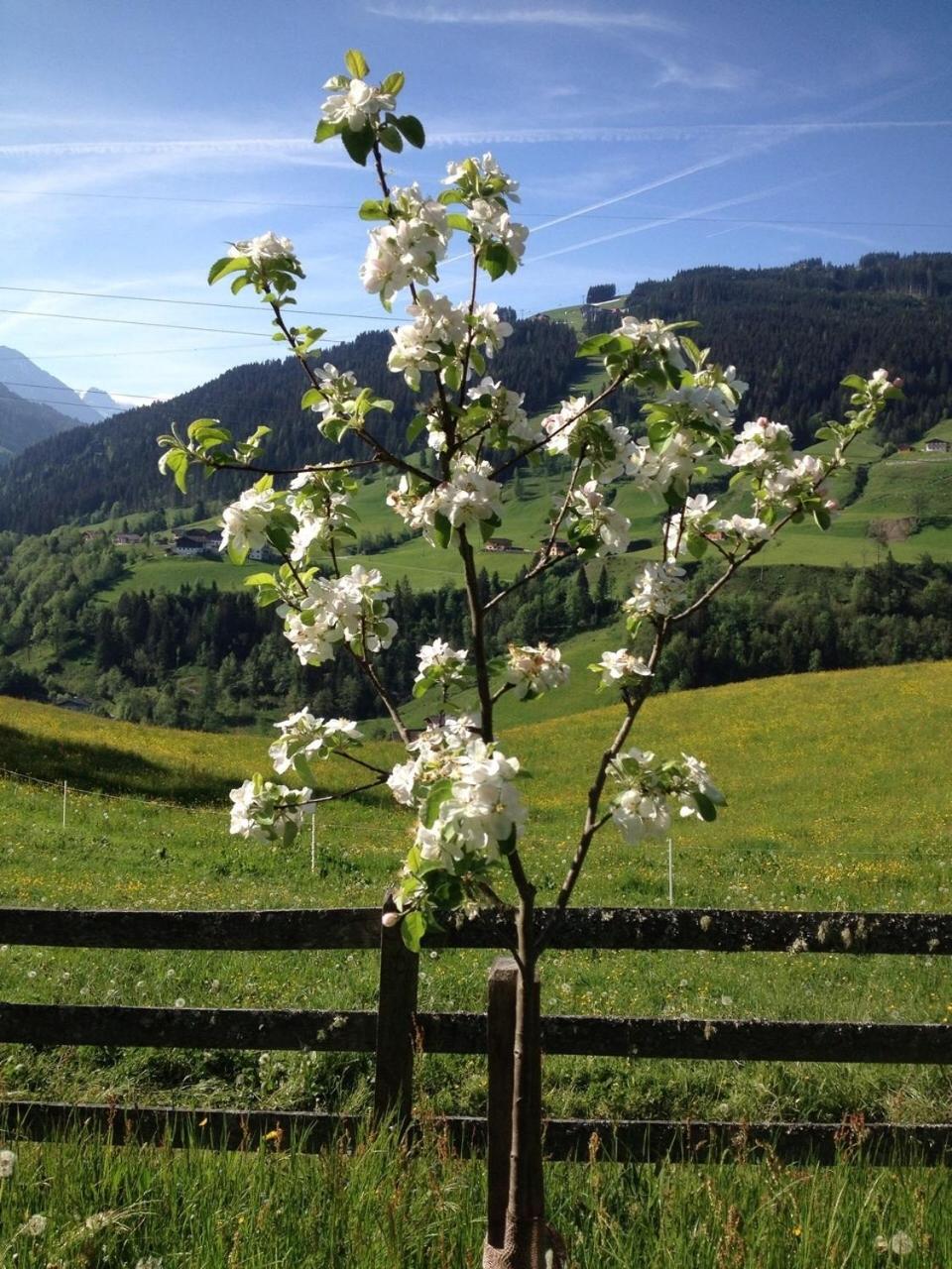Haus Katharina