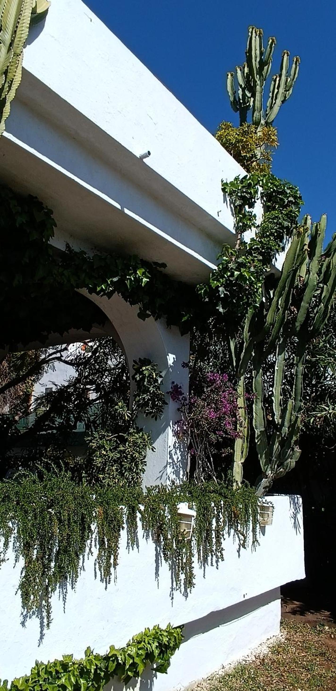Marbella Vacations - Villa Tortuga - Property Image 55