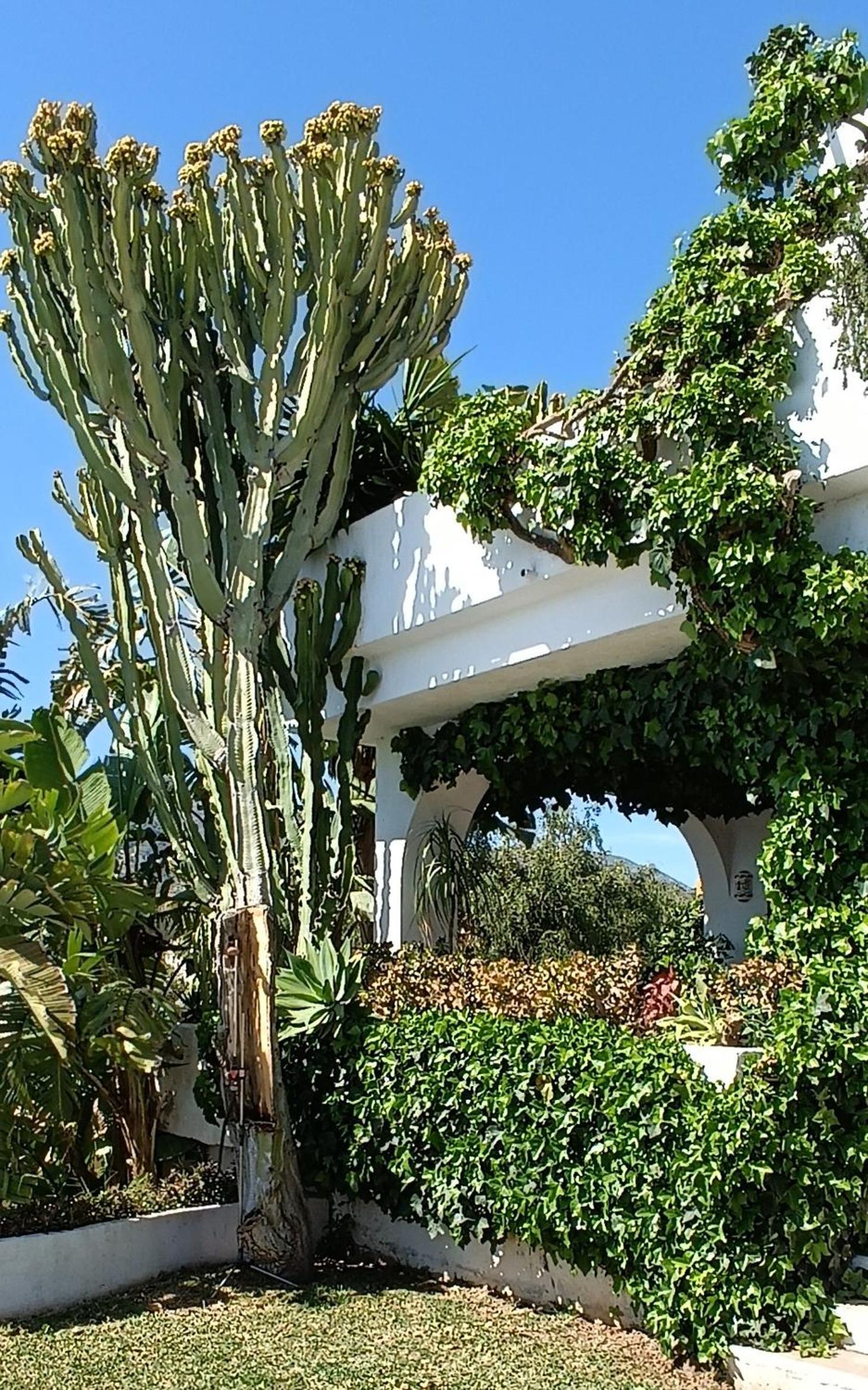 Marbella Vacations - Villa Tortuga - Property Image 2