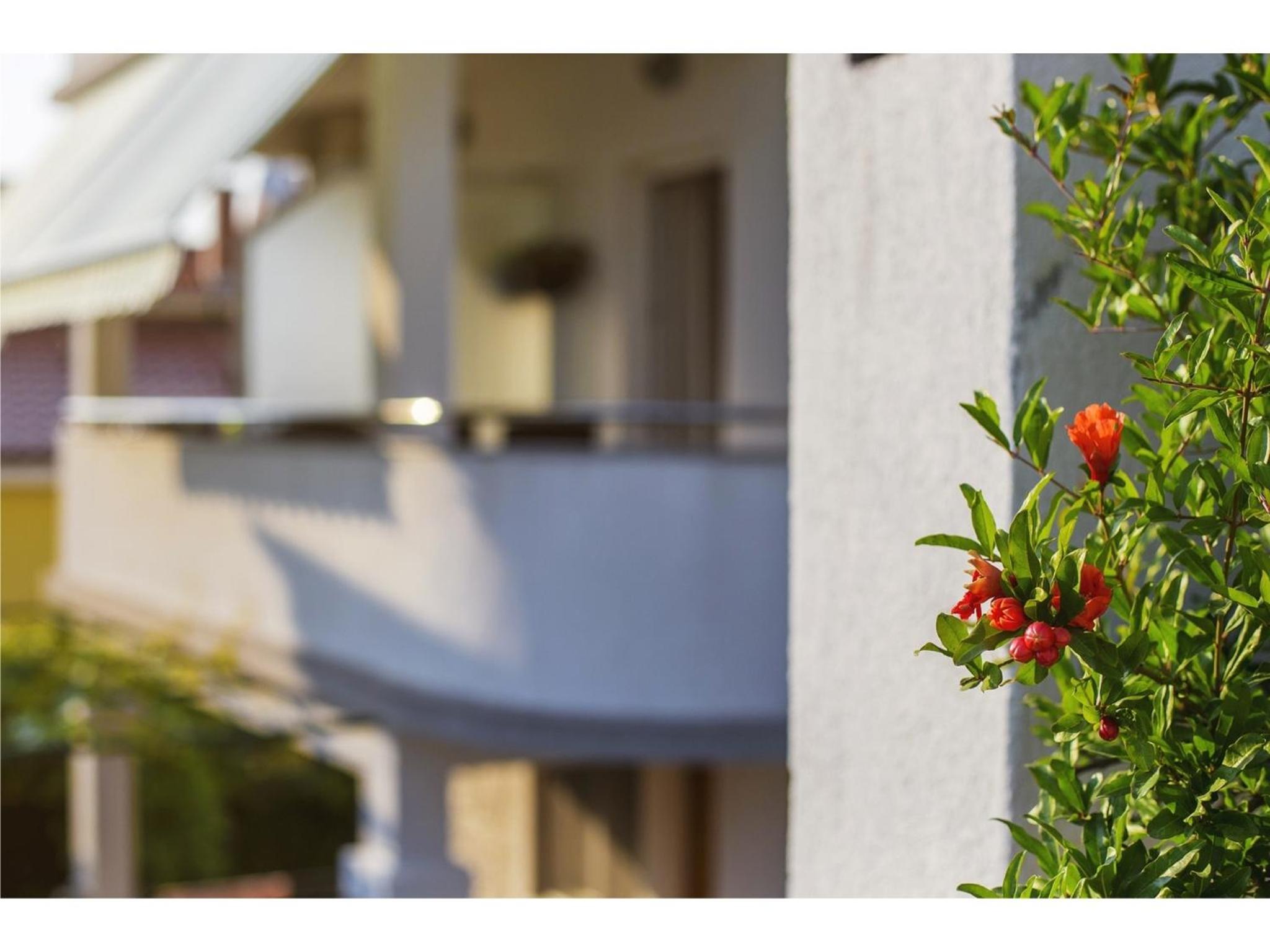 Charming seaside Apartments NOA & JAKOV, Zaboric Sibenik photo 5
