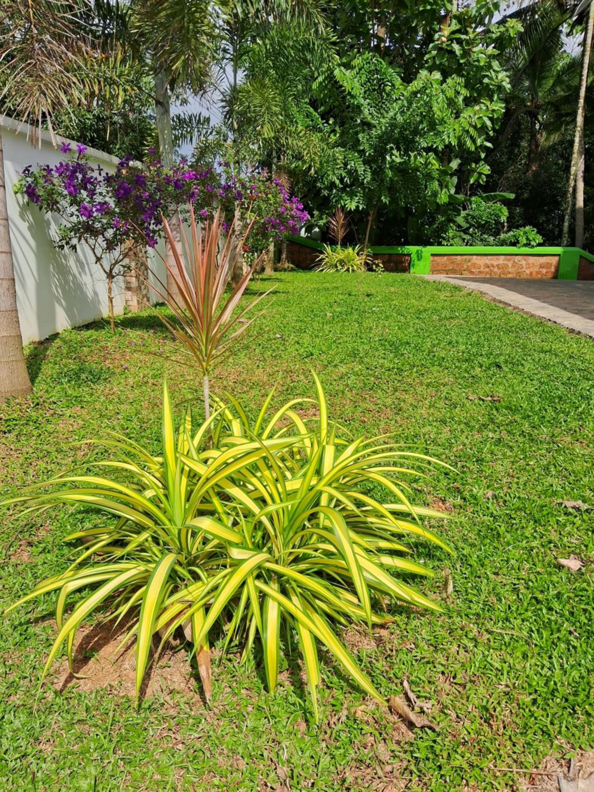 Cochin Vacations - Shamrock Inn - Property Image 7