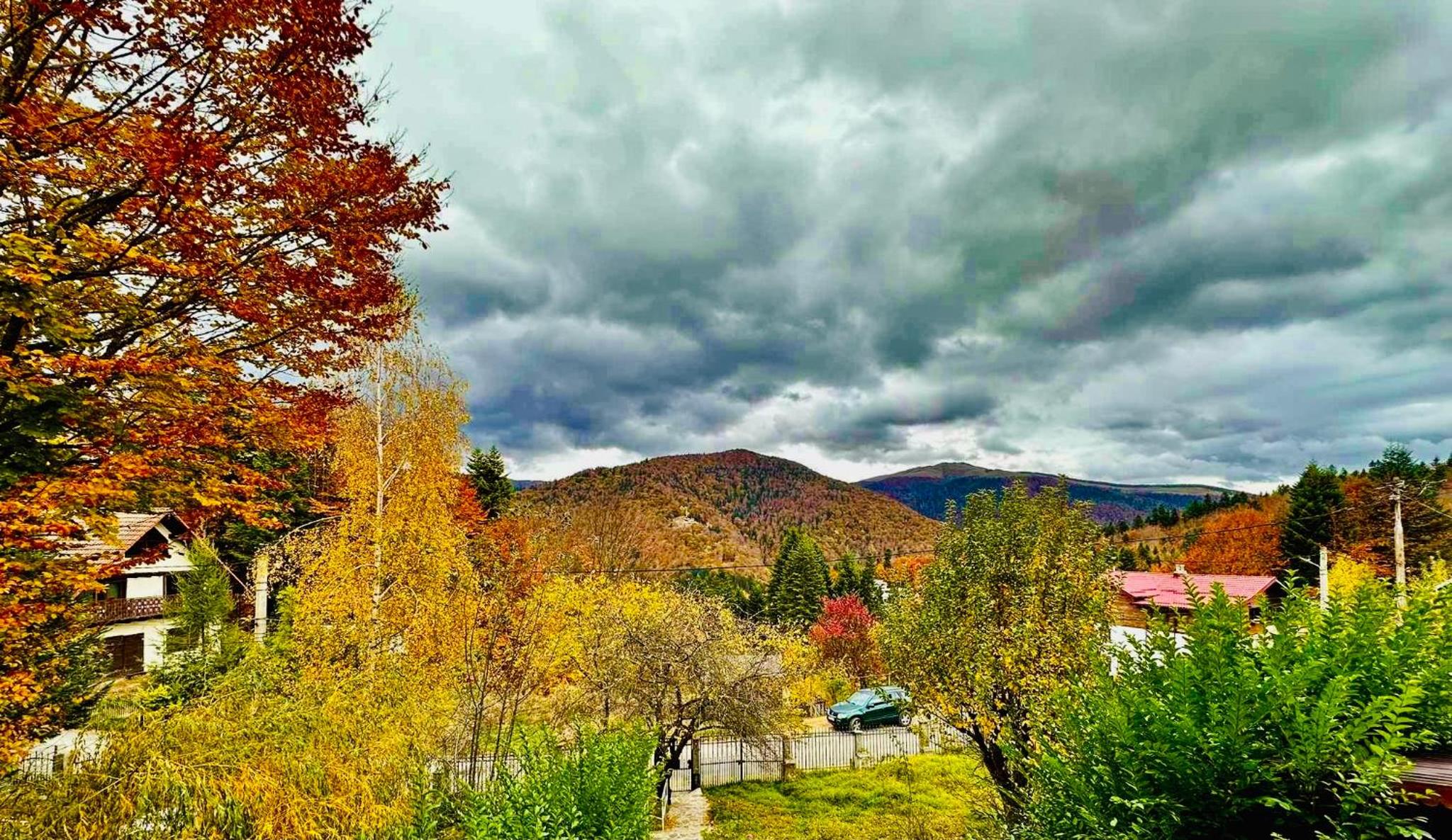Iepurasul Sinaia