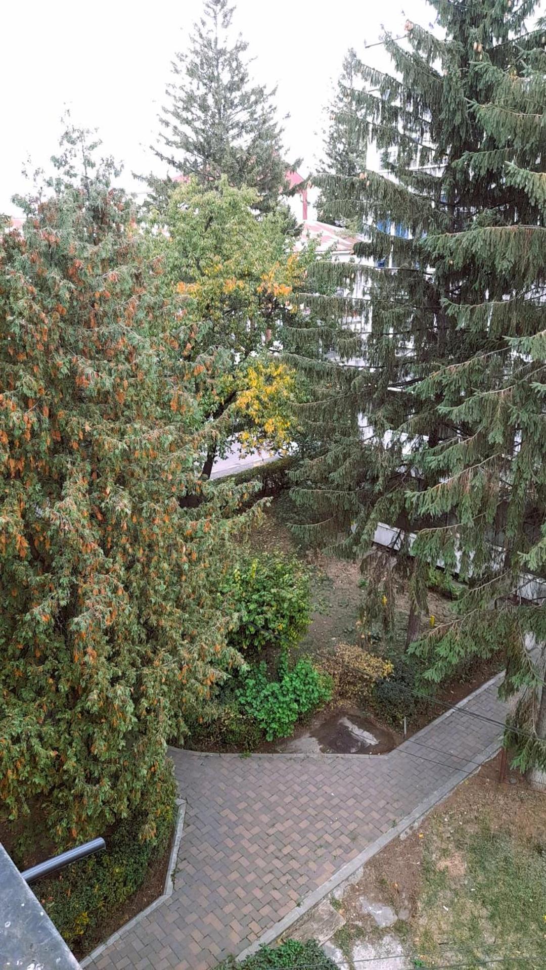 Apartment Eminescu - A pleasant stay in Bacau