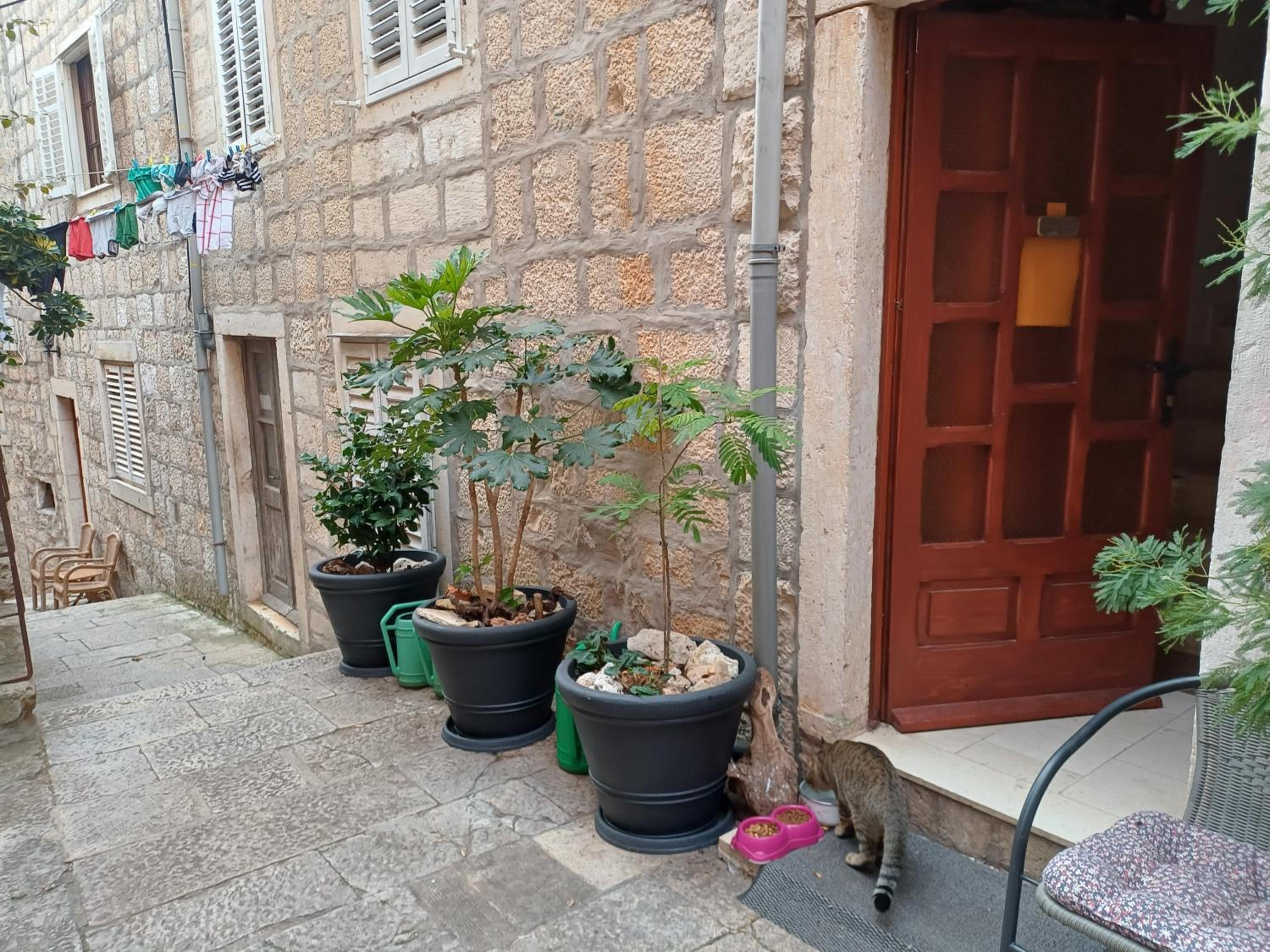 Photo 39