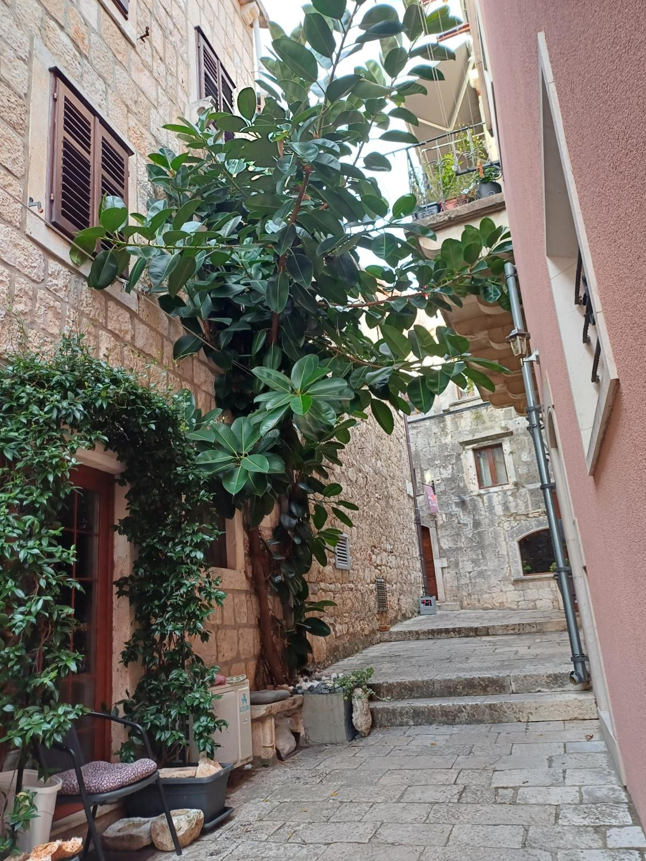 Photo 46