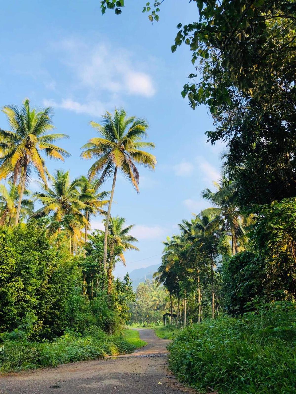 Munnar Village Homes