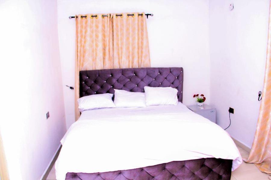 Best Choice Home 2bedroom Shortlet peter ODILI OR STADIUM -Free Wifi & 24hrs light -N49,000 view 4