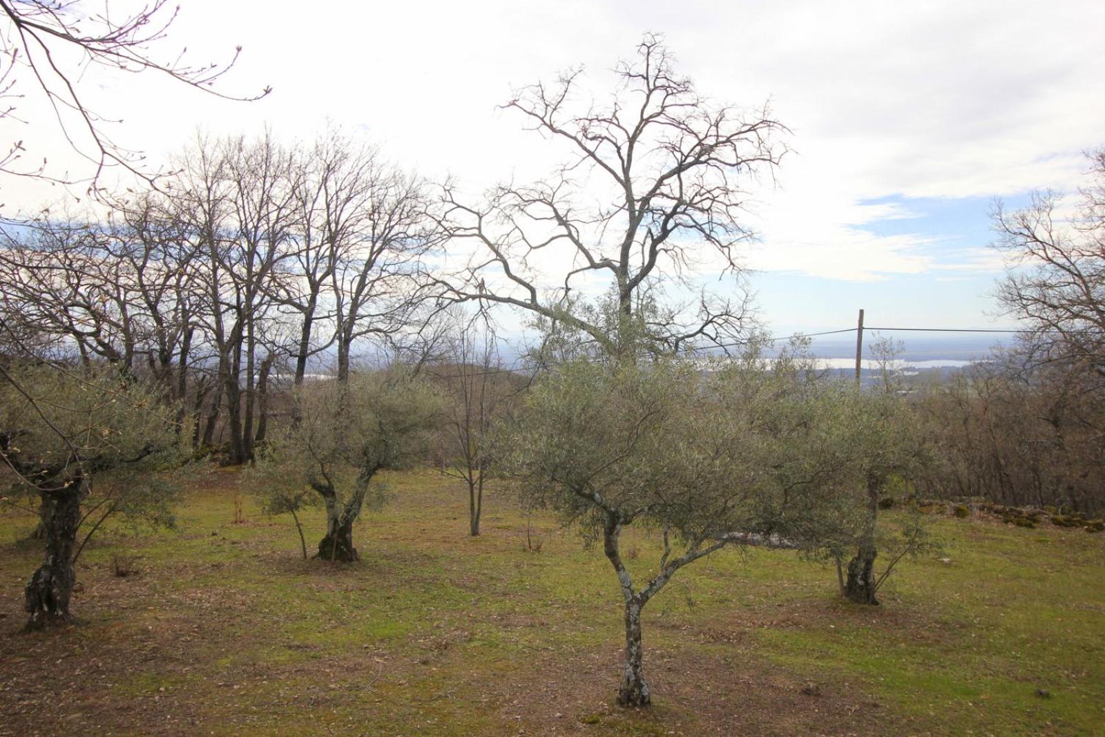 CASA PARVATHI CANDELEDA