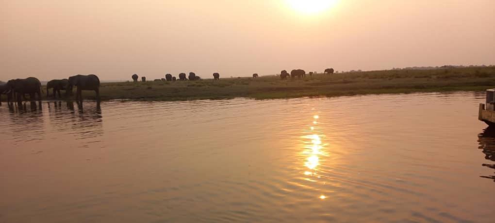 African Sunsets (Bophirimo Self-Catering Guest House)