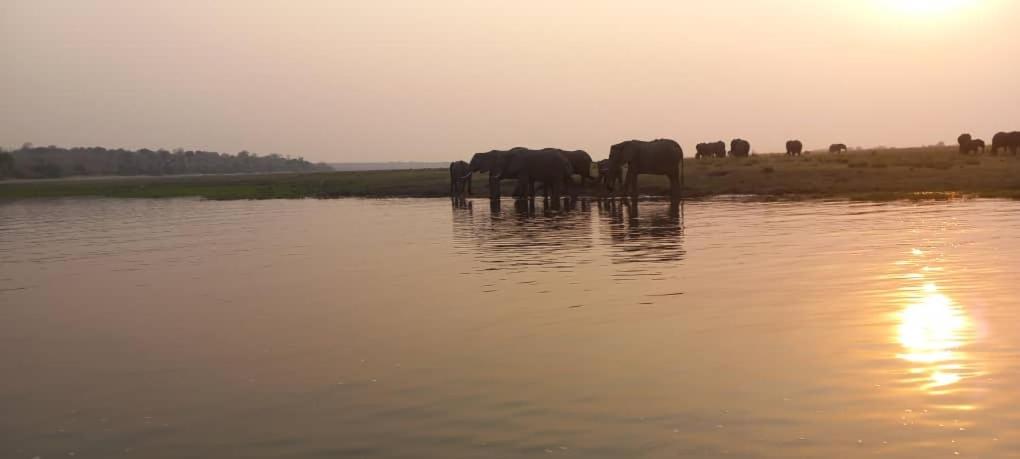 African Sunsets (Bophirimo Self-Catering Guest House)