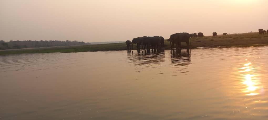 African Sunsets (Bophirimo Self-Catering Guest House)