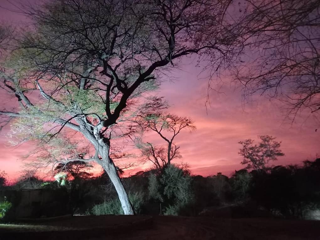 African Sunsets (Bophirimo Self-Catering Guest House)