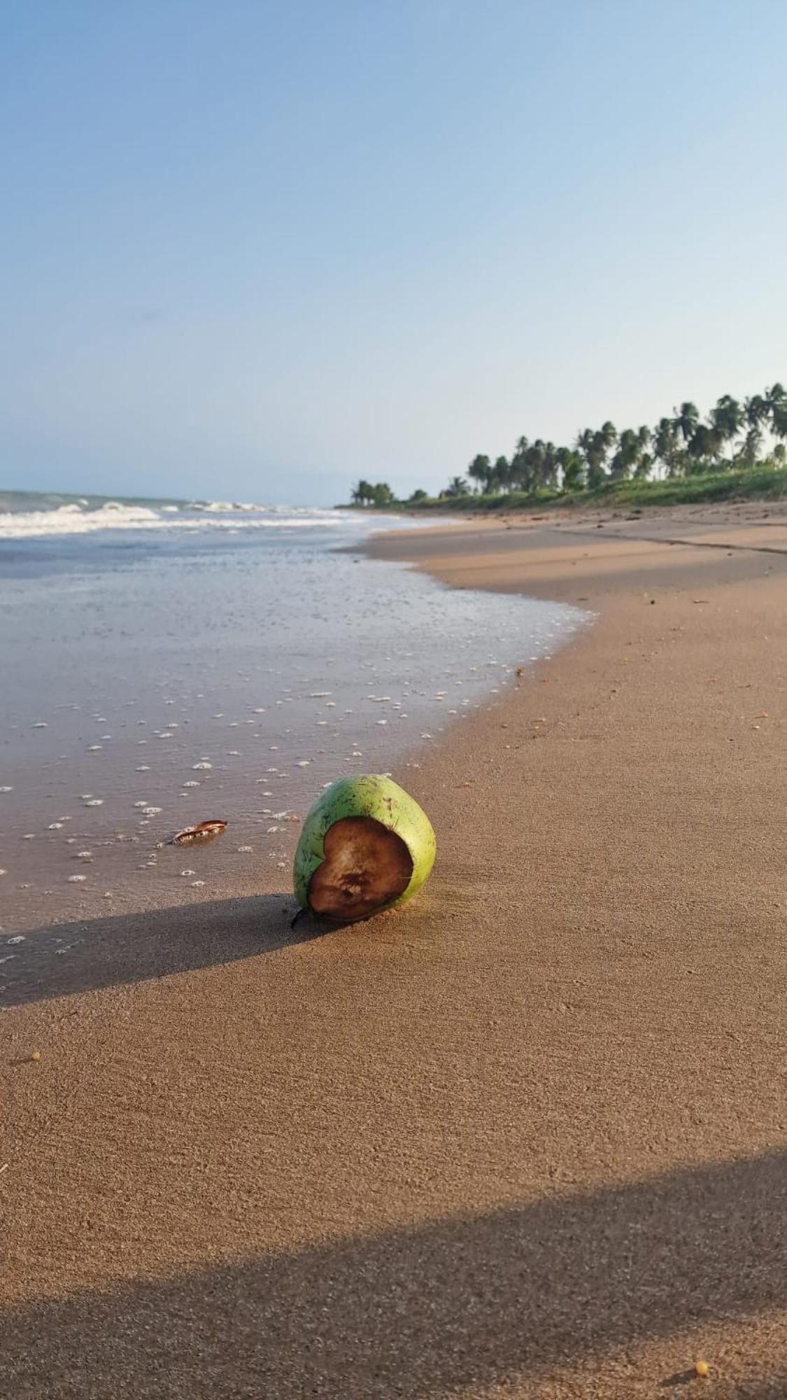 Namorada Atauá