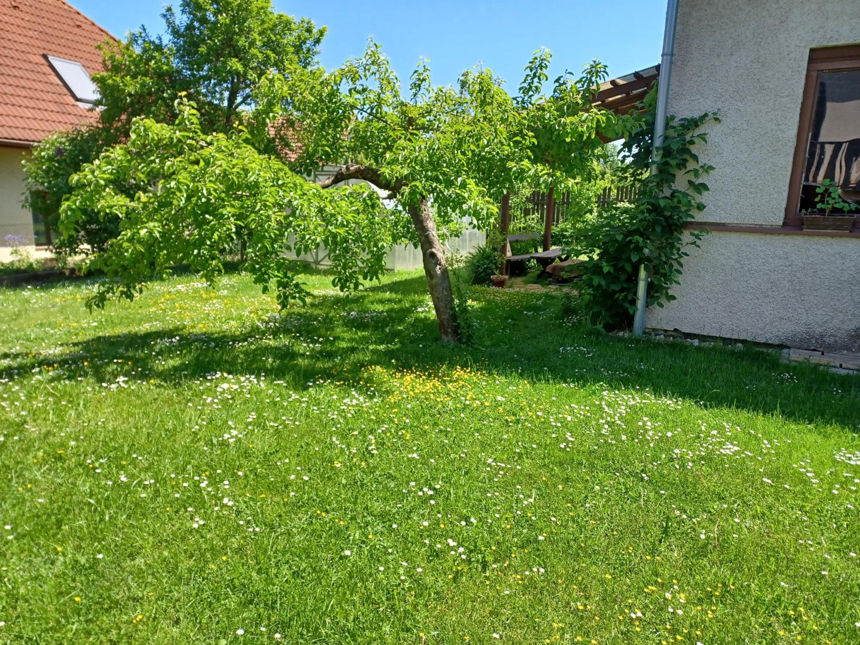 Apartmán Radenice