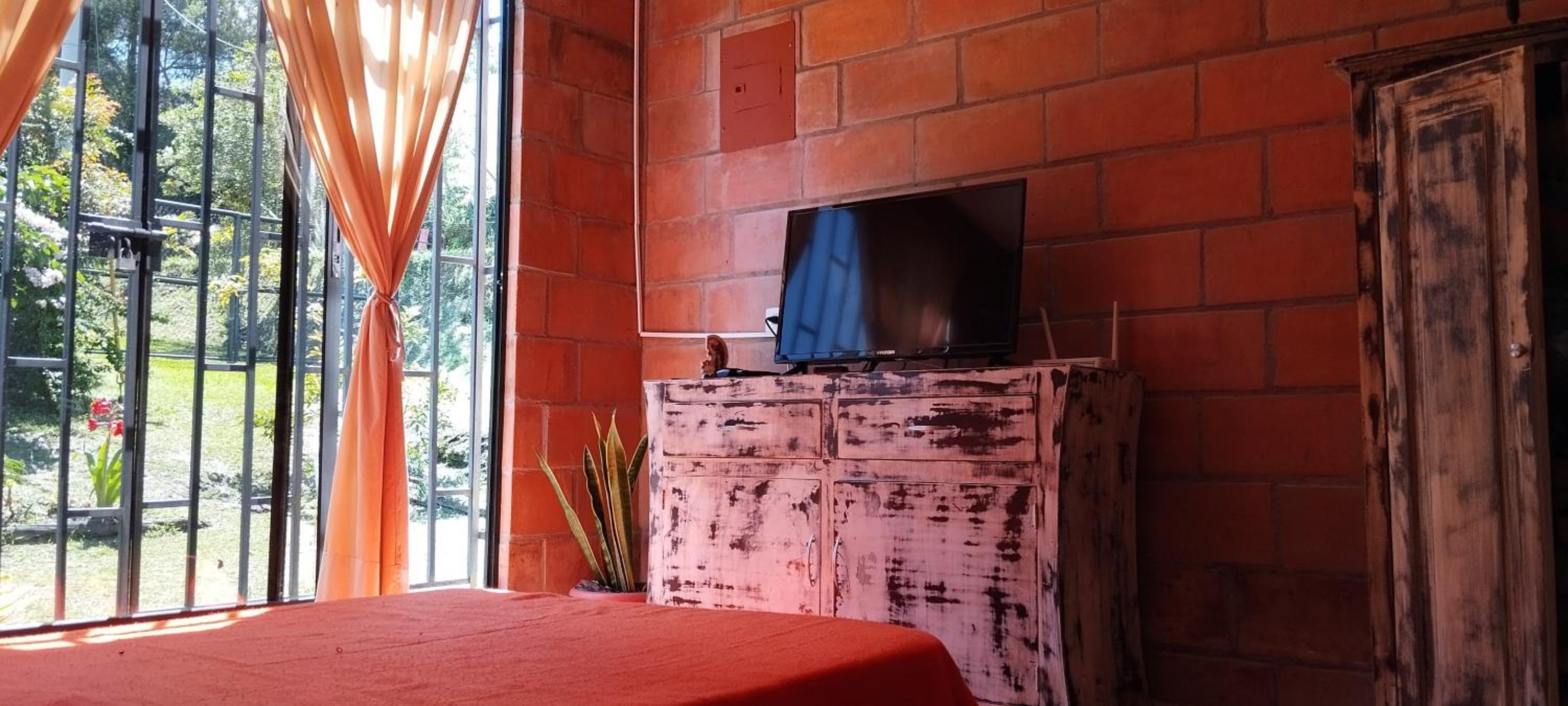 El aguacatal