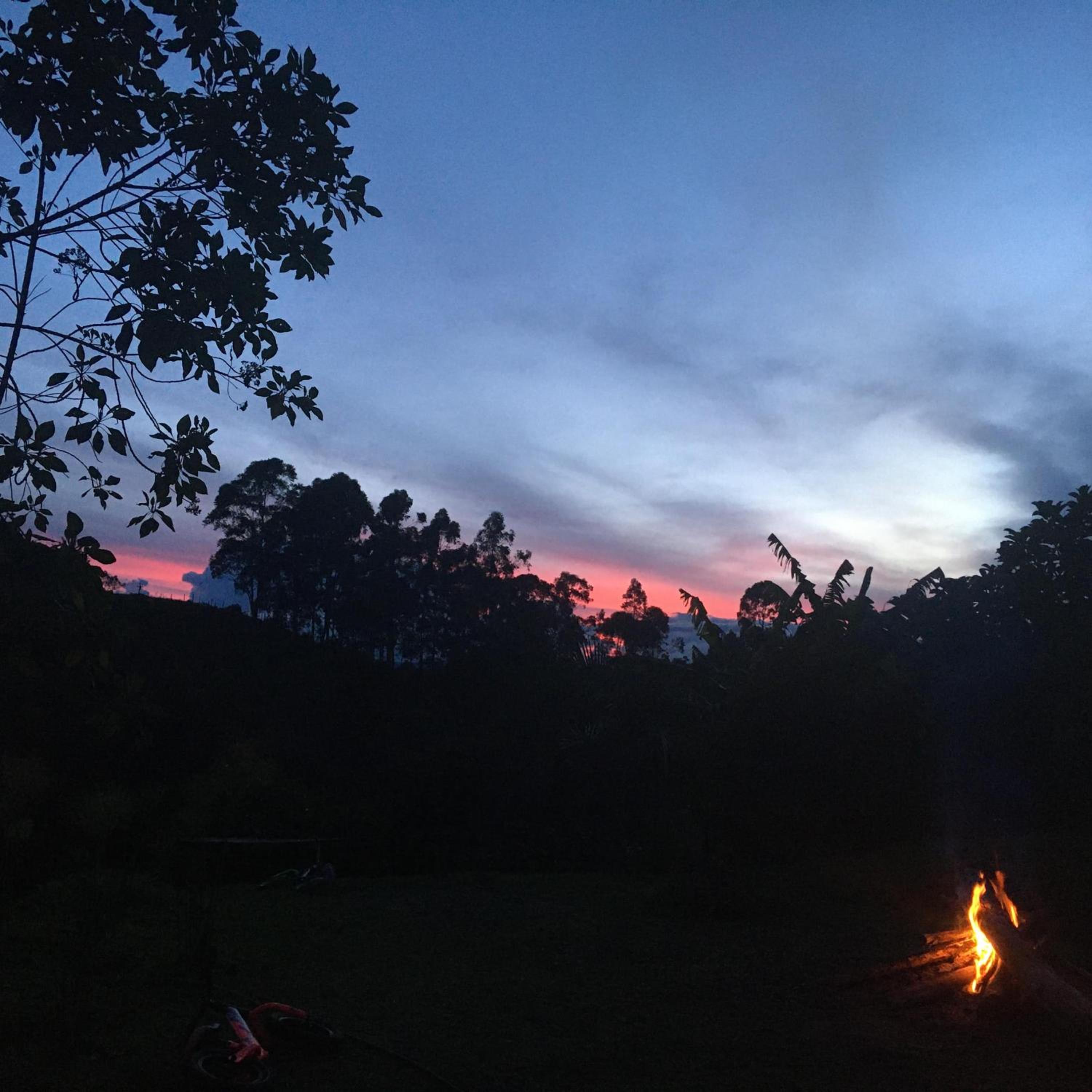 El aguacatal