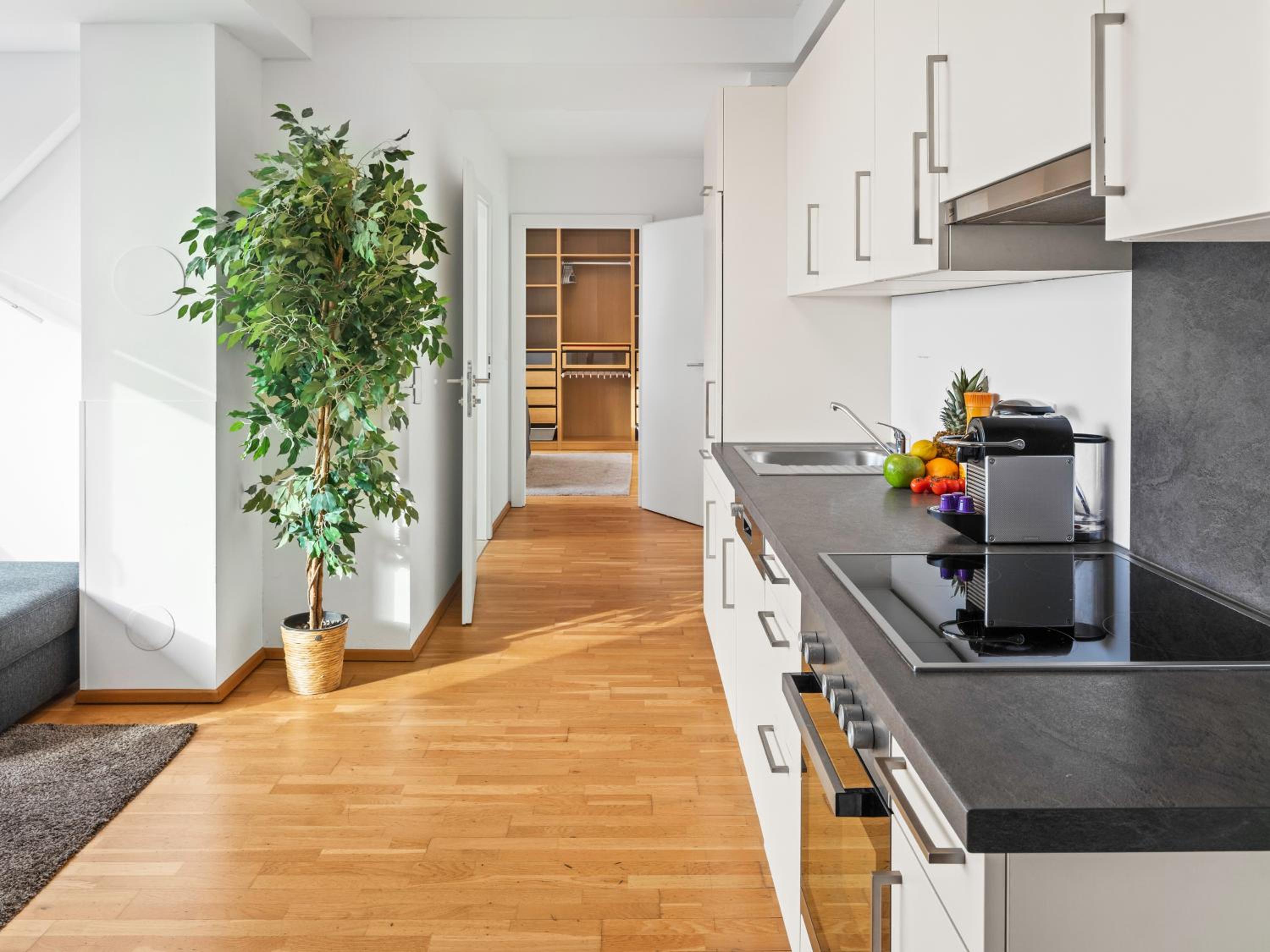 Penthouse Apartments