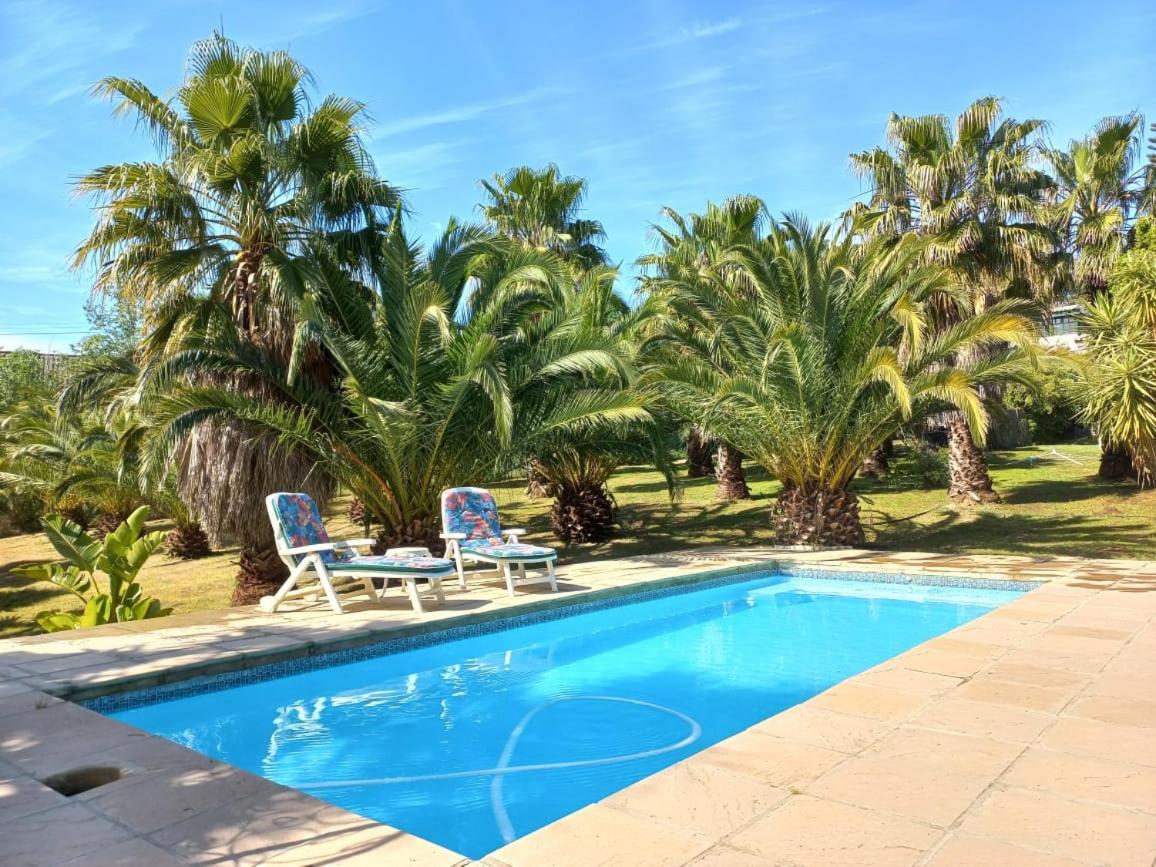 Hotel The Farmhouse Palm Tree Cabin