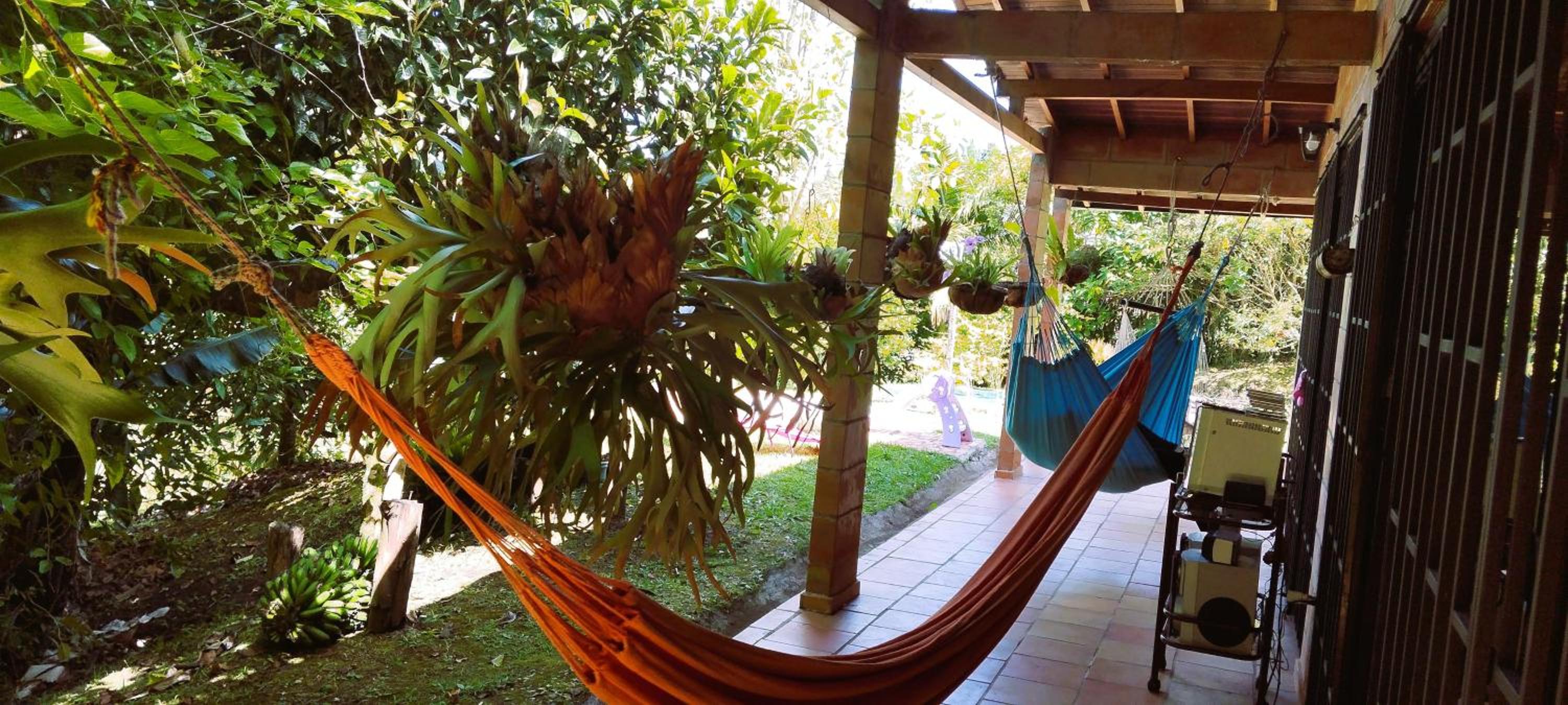 El aguacatal