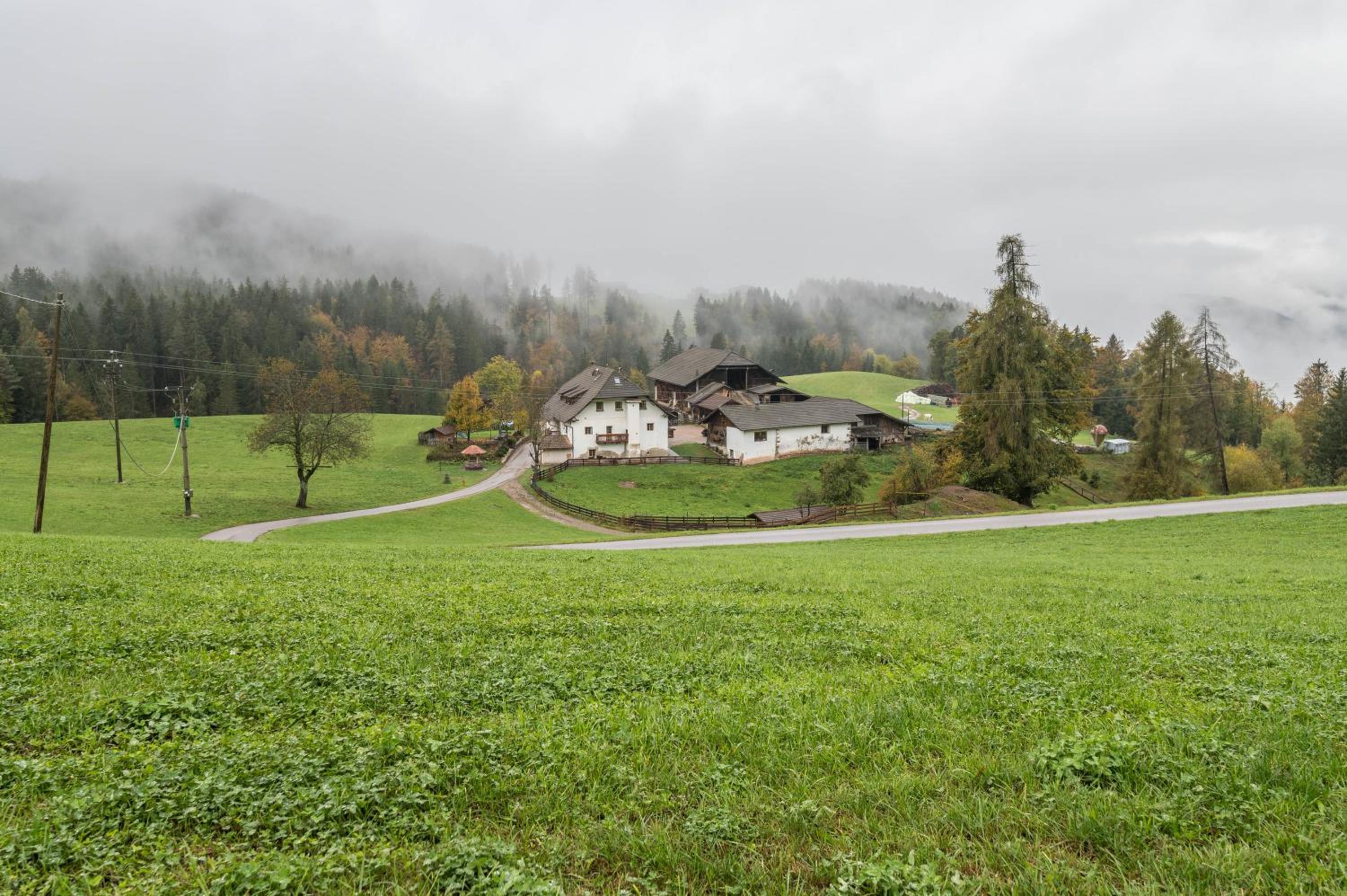 Ronacherhof Apt Ringelblume view 4