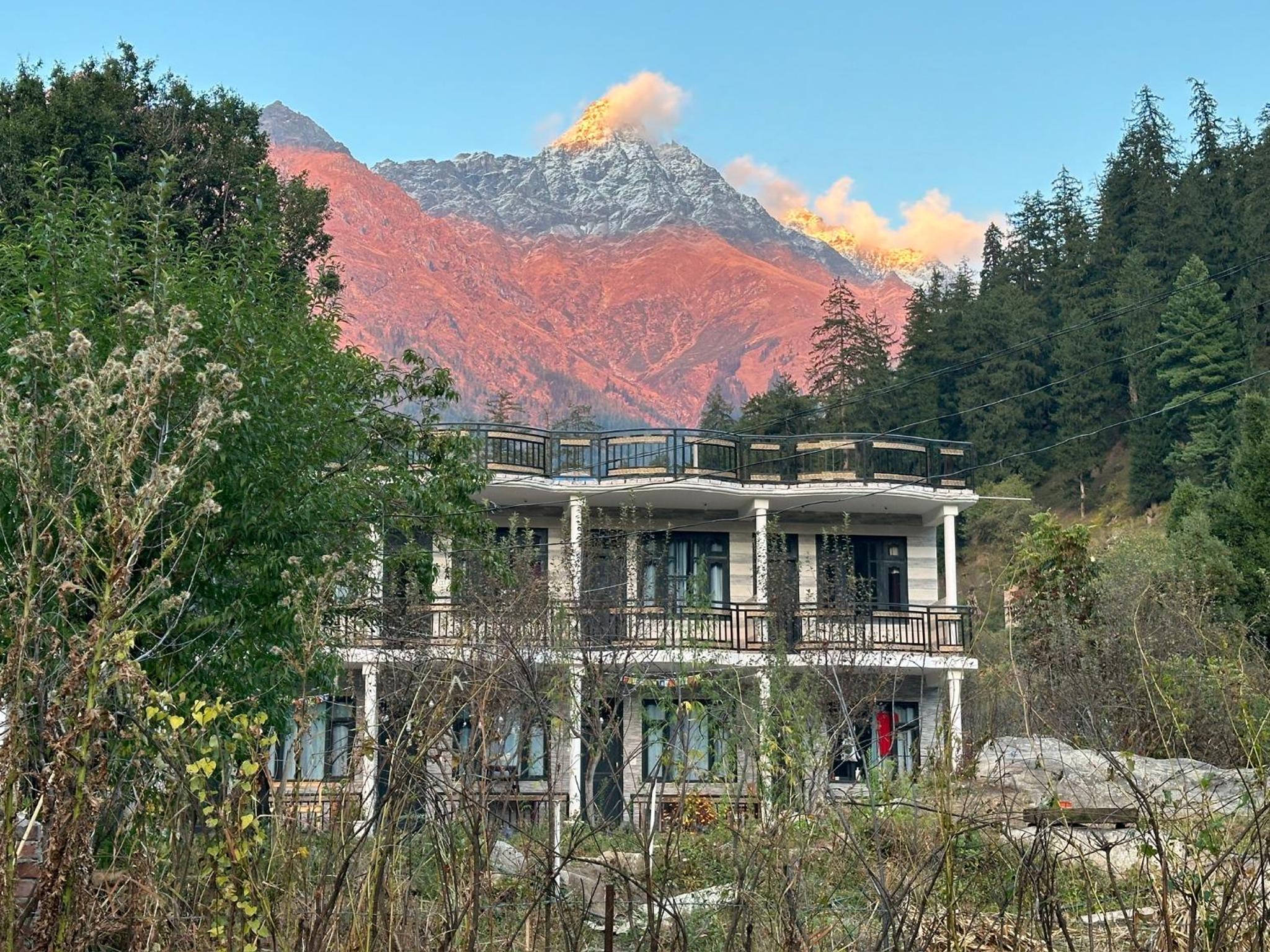 Rare House