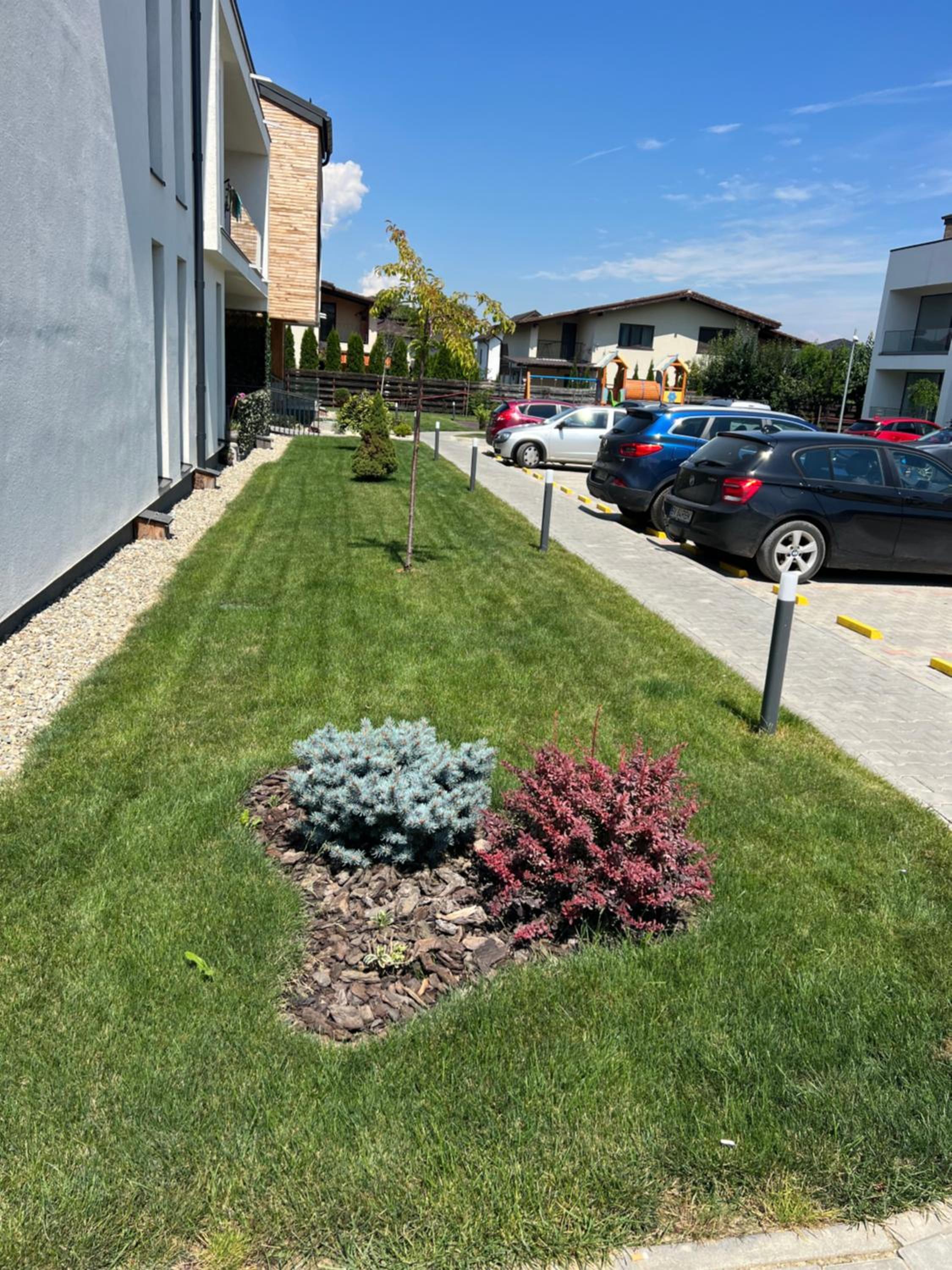 Photo 31