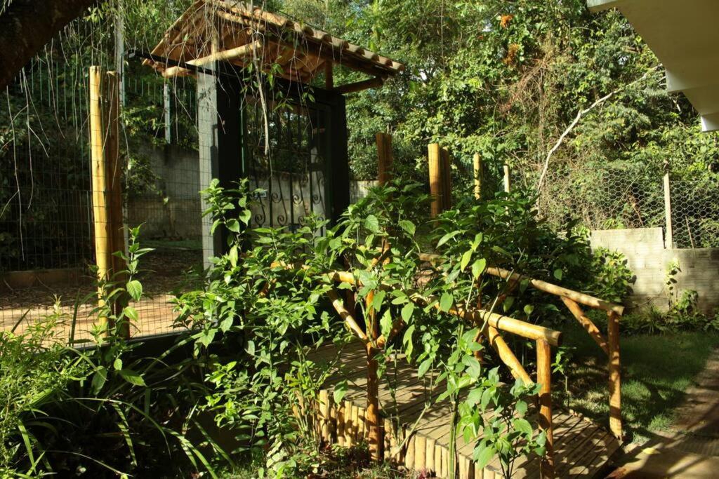 Casa Néctar
