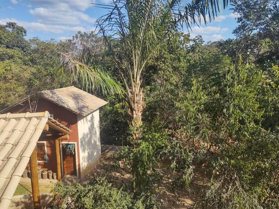 Casa Néctar