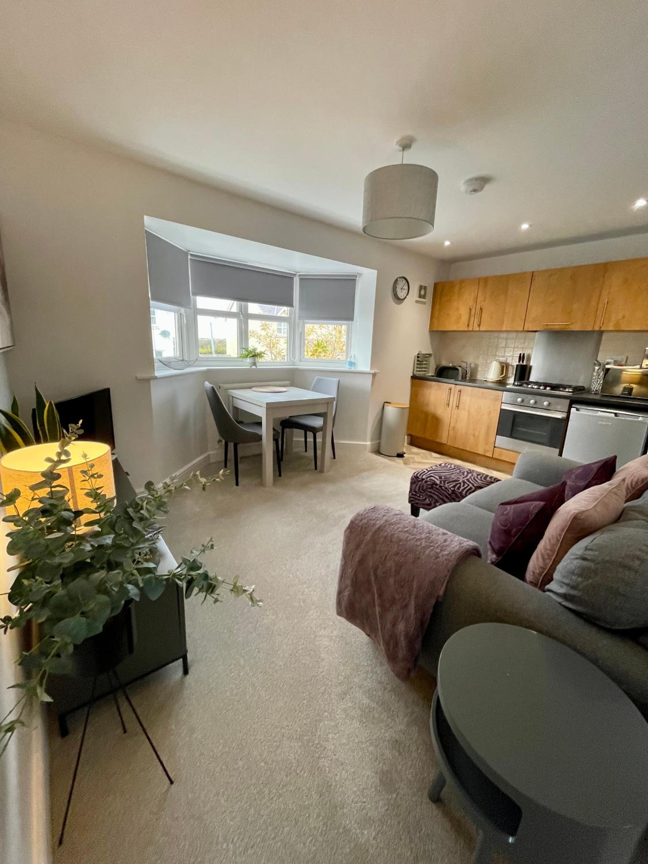 Compact Modern Apartment Single Person or Couple Only view 2