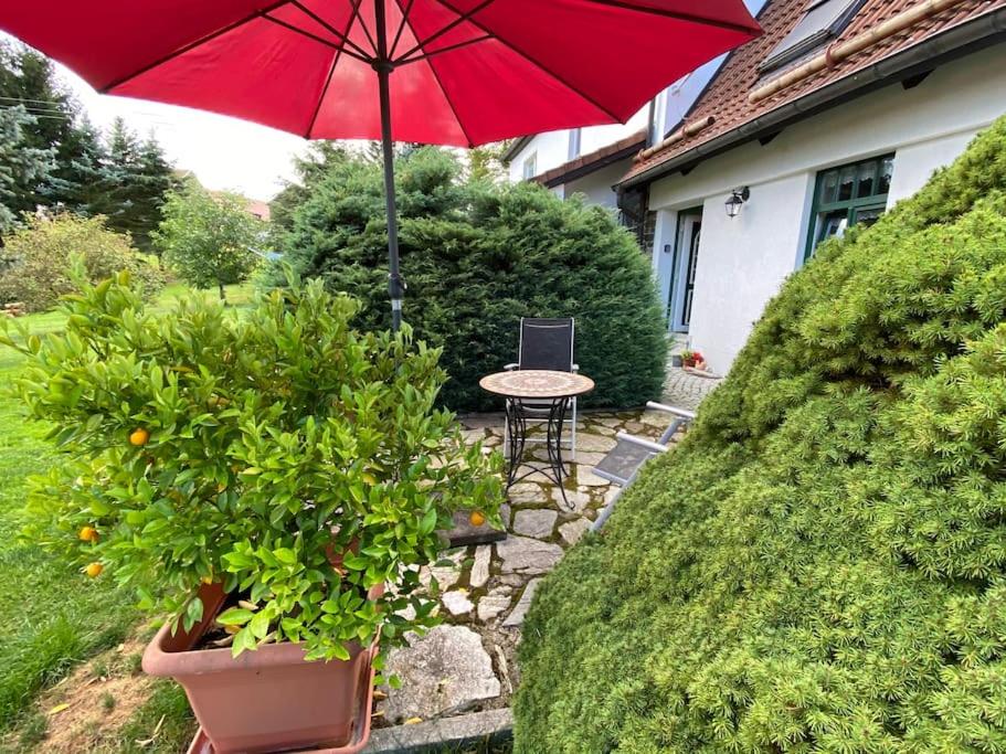 Ferienhaus Ingrid gemütliches Cottage im Grünen