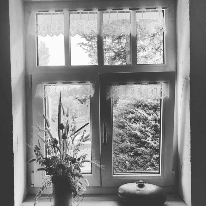 Ferienhaus Ingrid gemütliches Cottage im Grünen