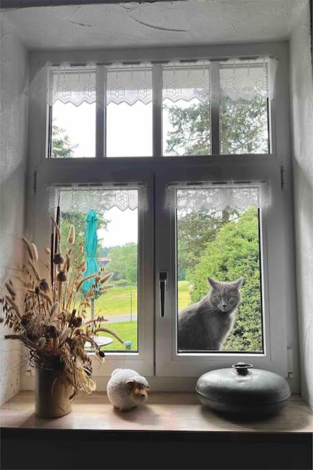 Ferienhaus Ingrid gemütliches Cottage im Grünen