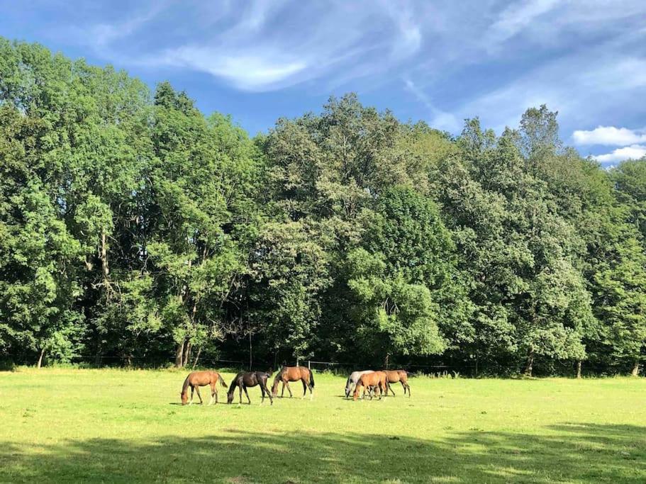 Ferienhaus Ingrid gemütliches Cottage im Grünen